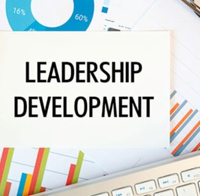 Org & leadership development.